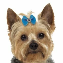 Aria Maddie Dog Bows Canister, 100 Pcc -pet store dt056 99 003 1