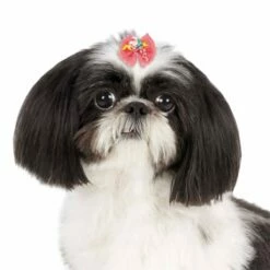 Aria Bonita Bows 100 Count -pet store dt1020 99 003