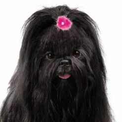 Aria Sparkle Feather Bows 100-Piece Canisters 12 Aria Sparkle Feather Bows 100-Piece Canisters -pet store dt1058 99 006