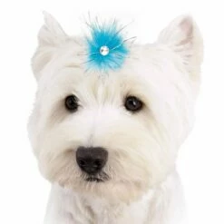 Aria Sparkle Feather Bows 100-Piece Canisters 13 Aria Sparkle Feather Bows 100-Piece Canisters -pet store dt1058 99 007