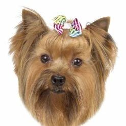 Aria Zoey Bows Canister, 48 Pc -pet store dt5642 48 003