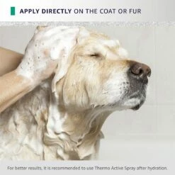 Hydra Flash Thermo Active Mask 10 Hydra Flash Thermo Active Mask -pet store hthermomask 05