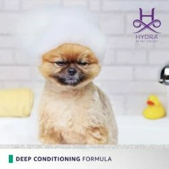 Hydra Flash Thermo Active Mask 11 Hydra Flash Thermo Active Mask -pet store hthermomask 06