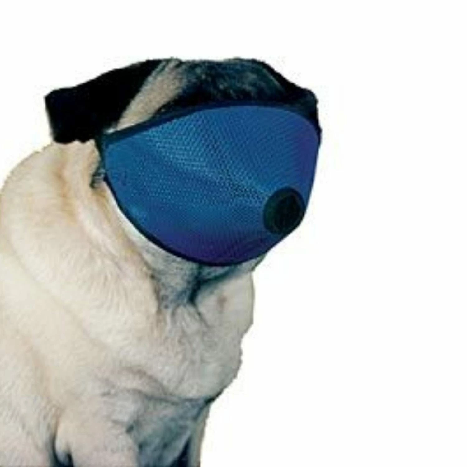 Short Nose Muzzle 2 Short Nose Muzzle - Image 2