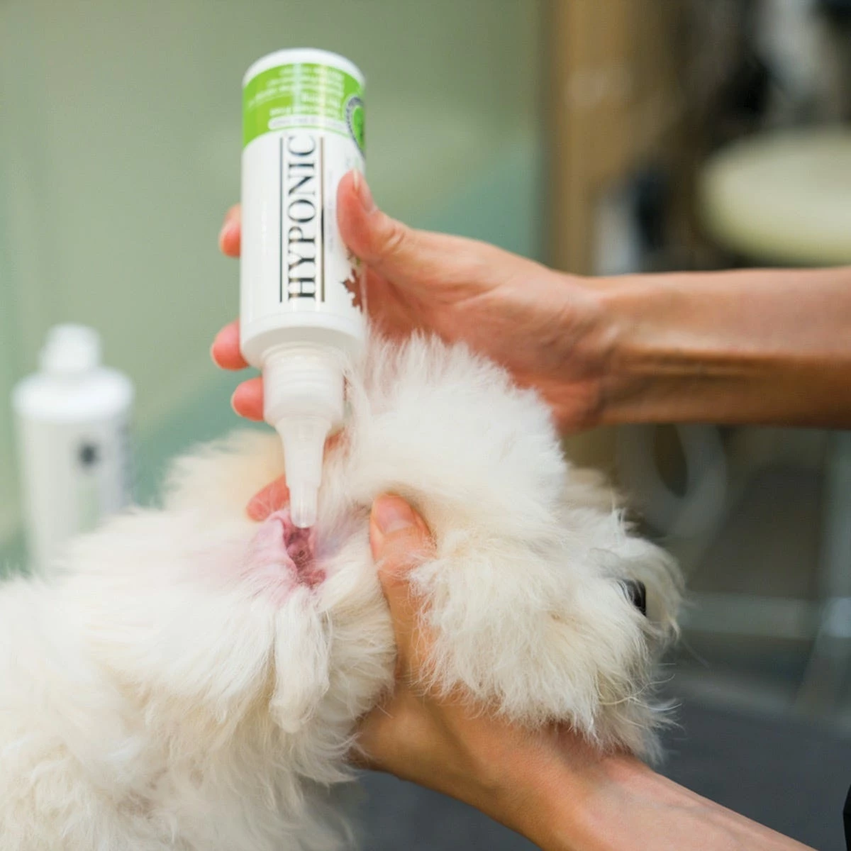 Hyponic Hinoki Cypress Ear Cleaner 16.9 Oz 7 Hyponic Hinoki Cypress Ear Cleaner 16.9 Oz - Image 7