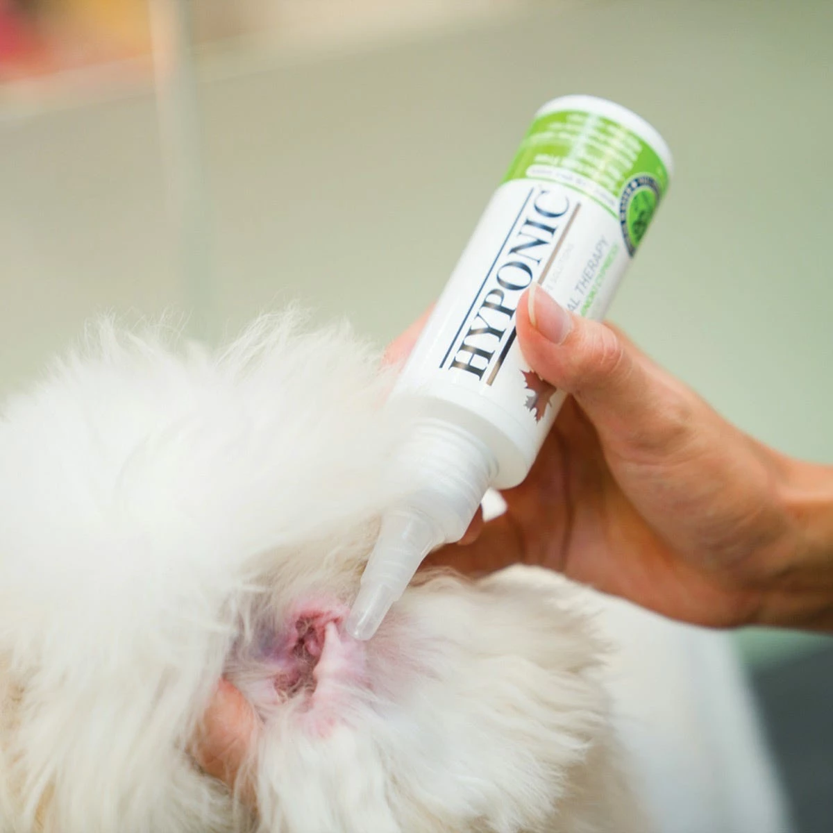 Hyponic Hinoki Cypress Ear Cleaner 16.9 Oz 4 Hyponic Hinoki Cypress Ear Cleaner 16.9 Oz - Image 4